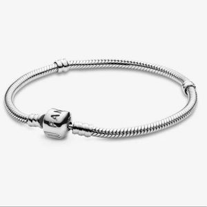 Pandora charm bracelet